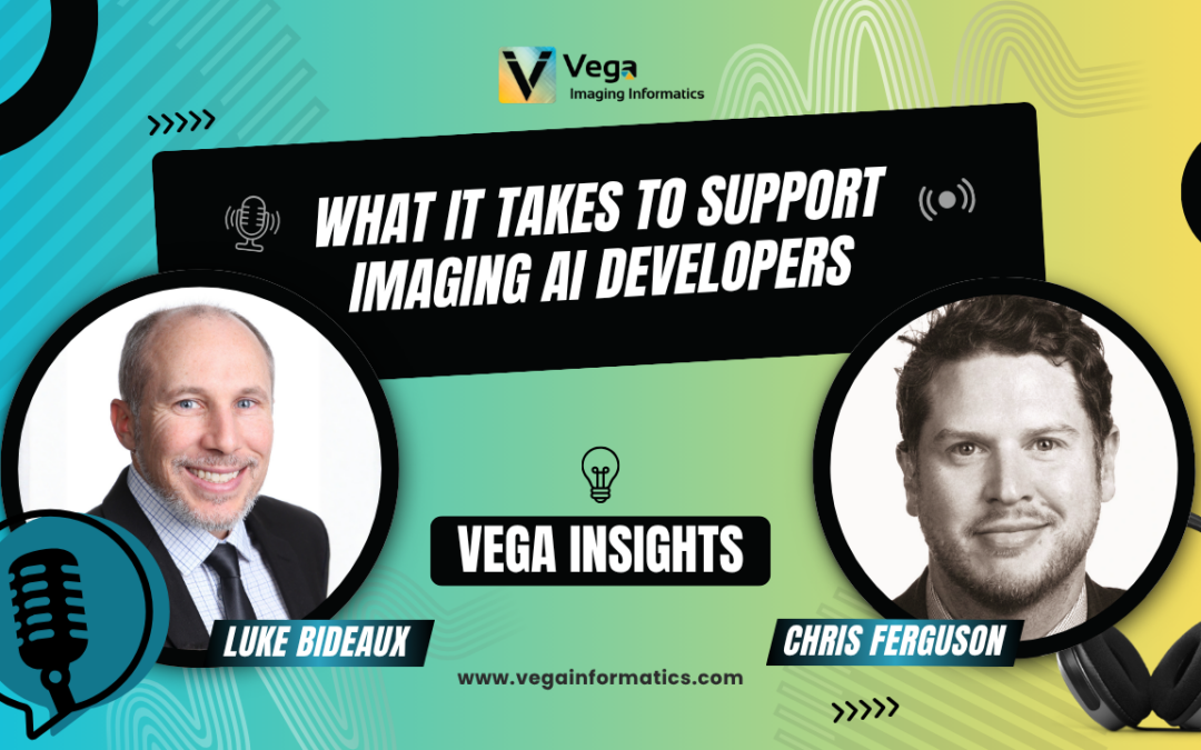 What It Takes to Support Imaging AI Developers